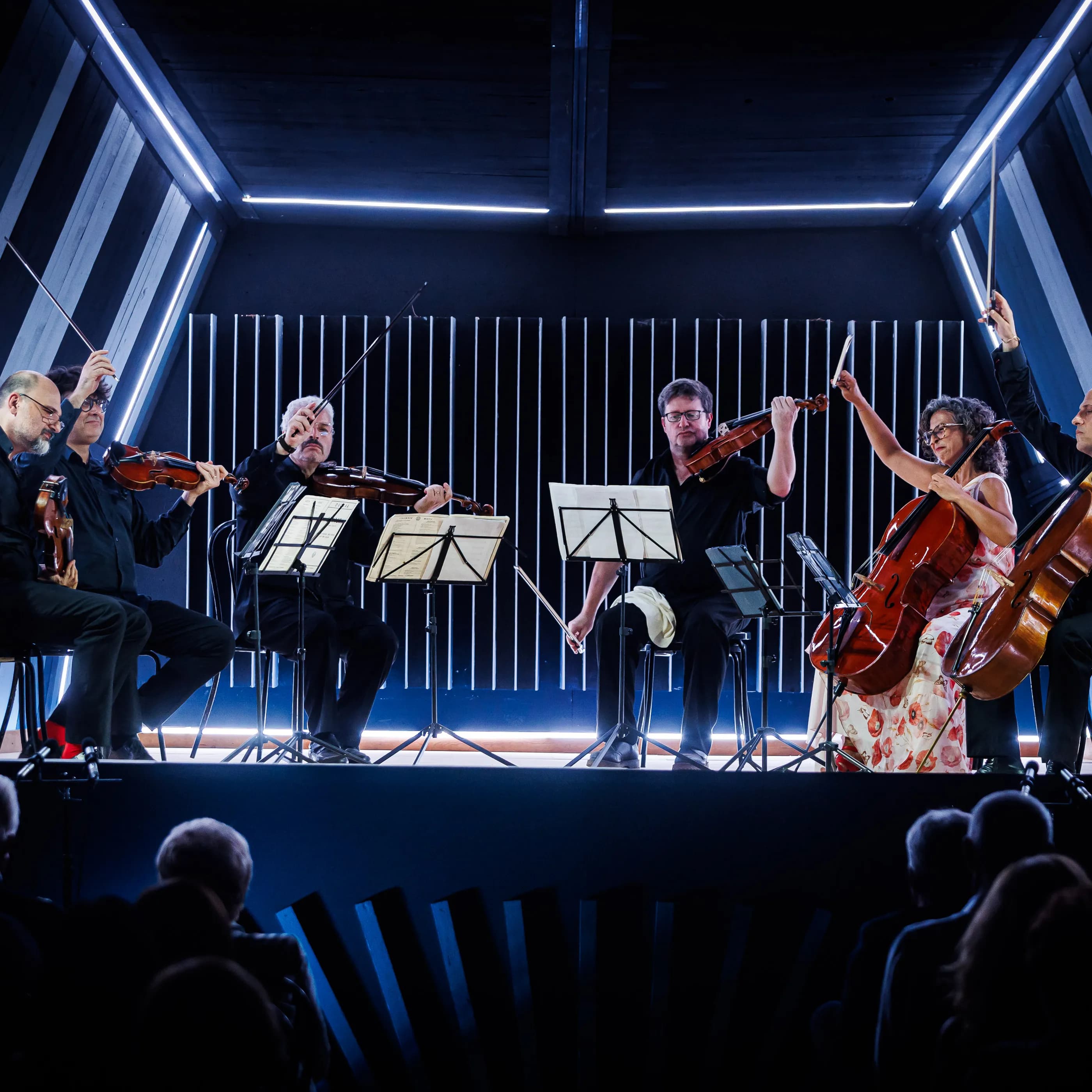 Sesstetto Stradivari auf der Bühne